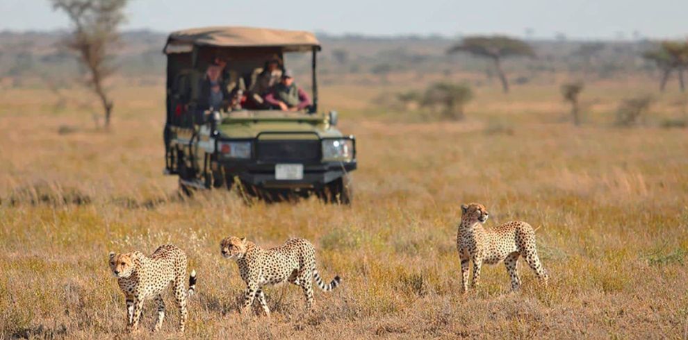 Serengeti Safari Package1 – YS2023.3 (4)